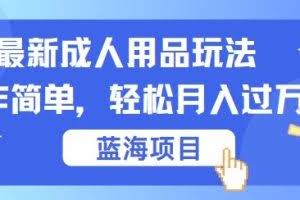 最新成人用品项目玩法，操作简单，动动手，轻松日入几张【揭秘】