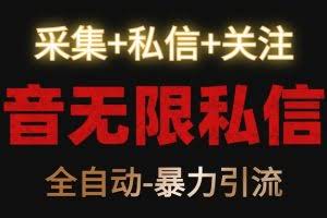 抖音无限私信机！采集+私信+关注，全自动暴力引流！
