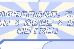 小红书运营成长课，写作入门&内容运营&接广变现【文档】