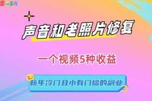 声音和老照片修复，一个视频5种收益，新年冷门且小有门槛的副业【揭秘】
