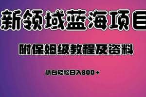 虚拟资源蓝海领域新项目，轻松日入800＋，附保姆级教程及资料