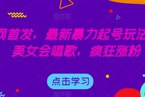全网首发，最新暴力起号玩法，AI美女会唱歌，疯狂涨粉【揭秘】