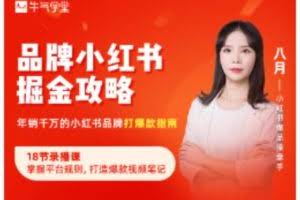 品牌小红书掘金攻略，年销千万的小红书品牌打爆款指南