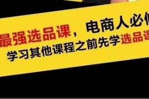 逐鹿蓝海高利润选品课：你只要能选好一个品，就意味着一年轻松几百万的利润