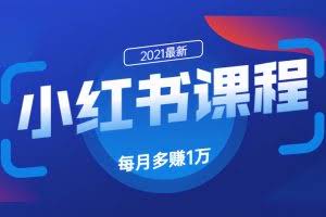 九京小红书精准引流课程1.0：如何利用小红书快速获取客源，每月多赚1万！