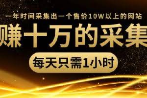年赚十万的采集站，每天1小时，一年采集出一个售价10W的网站（无水印）