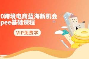 2020跨境电商蓝海新机会-shopee基础课程：简单粗暴日报爆千单（27节课）