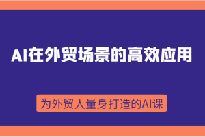 AI在外贸场景的高效应用，从入门到进阶，从B端应用到C端应用，为外贸人量身打造的AI课