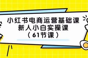小红书电商运营基础课，新人小白实操课（61节课）
