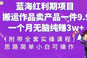 蓝海红利期项目，搬运作品卖产品一件9.9，一个月无脑纯赚3w+！（全套实操课程）