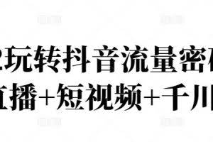 2022玩转抖音流量变现密码,直播运营技巧、电商主播成长记(直播+短视频+千川)