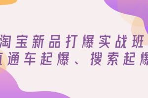 淘宝新品打爆实战班,直通车起爆、搜索起爆(价值599元)