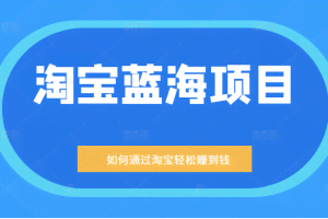 某公众号付费文章：淘宝蓝海项目：月入5000+ 一单利润200一天赚1000+等玩法分享