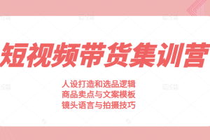 素人短视频带货集训营，人设打造和选品逻辑，商品卖点与文案模板，镜头语言与拍摄技巧