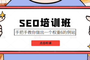 SEO培训班课程，手把手教你做出一个权重6的例站，价值8000元