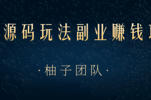 全新源码玩法副业赚钱项目,小白一单利润几十无上限