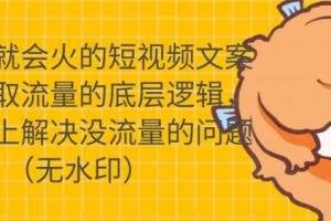 只说话就会火的短视频文案课,从根本上解决没流量的问题(无水印)