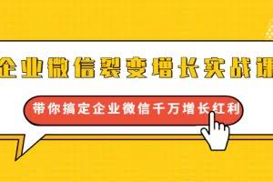 企业微信裂变增长实战课：带你搞定企业微信千万增长红利，新流量-新玩法（无水印）