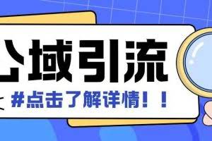 全公域平台，引流创业粉自热模版玩法，号称日引500+创业粉可矩阵操作