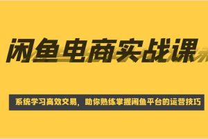 闲鱼电商实战课，系统学习高效交易，助你熟练掌握闲鱼平台的运营技巧