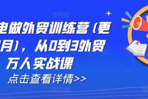 AI闪电做外贸训练营(更新25年2月)，从0到3外贸万人实战课