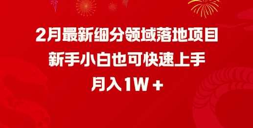 2月最新细分领域落地项目,新手小白也可快速上手,月入1W