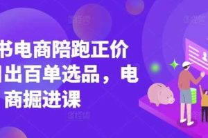 小红书电商陪跑正价课，小红书官方认证电商讲师教学，日出百单选品，电商掘进课