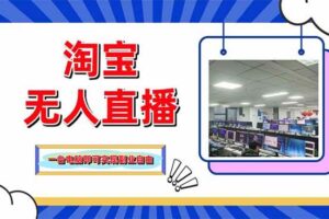 （14417期）淘宝无人直播带货，单品打爆+搜索流打法，24小时必出单