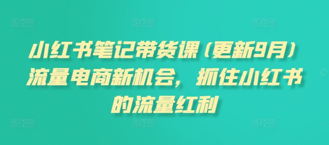 小红书笔记带货课(更新25年4月)流量电商新机会,抓住小红书的流量红利
