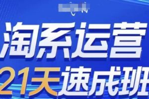 淘系运营21天速成班(更新25年4月)，0基础轻松搞定淘系运营，不做假把式