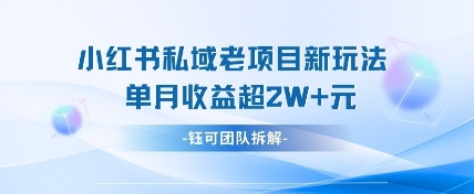 小红书私域项目新玩法,单月变现过W+