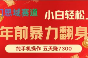 年前爆火项目，5天赚了7300