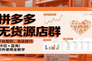 拼多多无货源店群：平台规则、选品技巧（卡位 + 蓝海），软件使用全教学