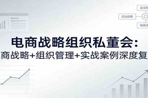 电商战略组织私董会：电商战略+组织管理+实战案例深度复盘