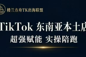 三叔·TikTok东南亚本土店实操(更5月)