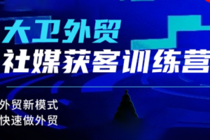 大卫老师·外贸社媒获客独家训练营(更新4月)