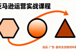 毕方电商·亚马逊全站会员课程(更新3月)