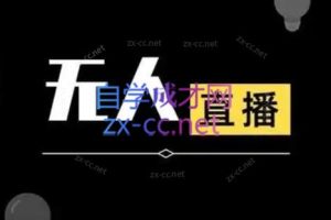 宝子哥·无人直播-非实时防风技术(更新3月)