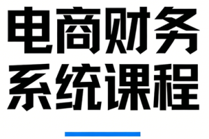 郑老师·电商财务系统课程