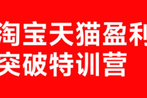 玺承·淘宝天猫盈利突破特训营(25年12月线下课)【音频+字幕】