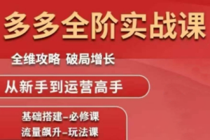 大炮·拼多多全阶实战课程(更新2026)