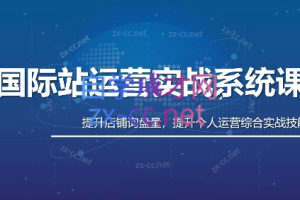 白老师·国际站运营实战系统(高质量询盘增长课)(部分更新)