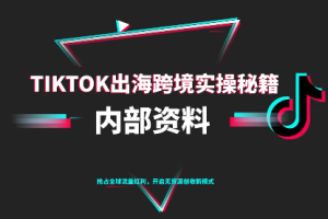 TikTok跨境电商0-1搭建运营(更新10月)