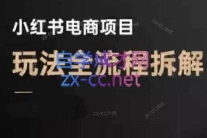 菲菲老师·小红书电商玩法(更新9月)