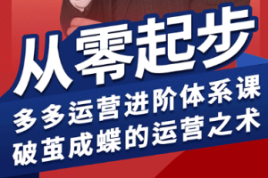 海神·拼多多运营进阶系统课(更新8月)
