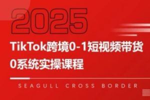 大亿老师·TikTok跨境0-1短视频带货