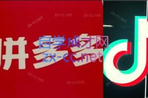 老陶电商·拼多多+抖音小店无货源开店(更新8月)