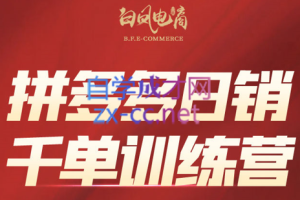 白凤电商·拼多多日销千单训练营(更新7月)