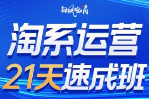 白凤电商·淘系运营21天速成班(更新7月)
