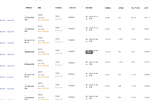 老火电商·淘宝无界分词分计划技术
